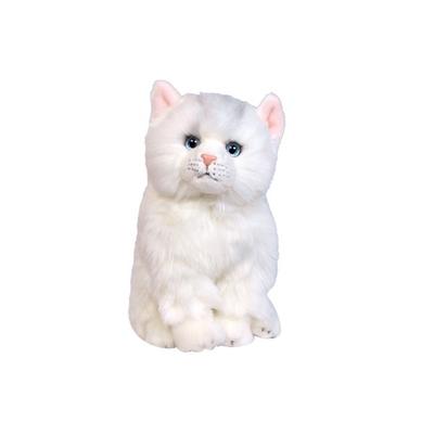 Real Cat Doll Persian Chinchilla, 24 Cm, White, Popular Toys for Korean Children