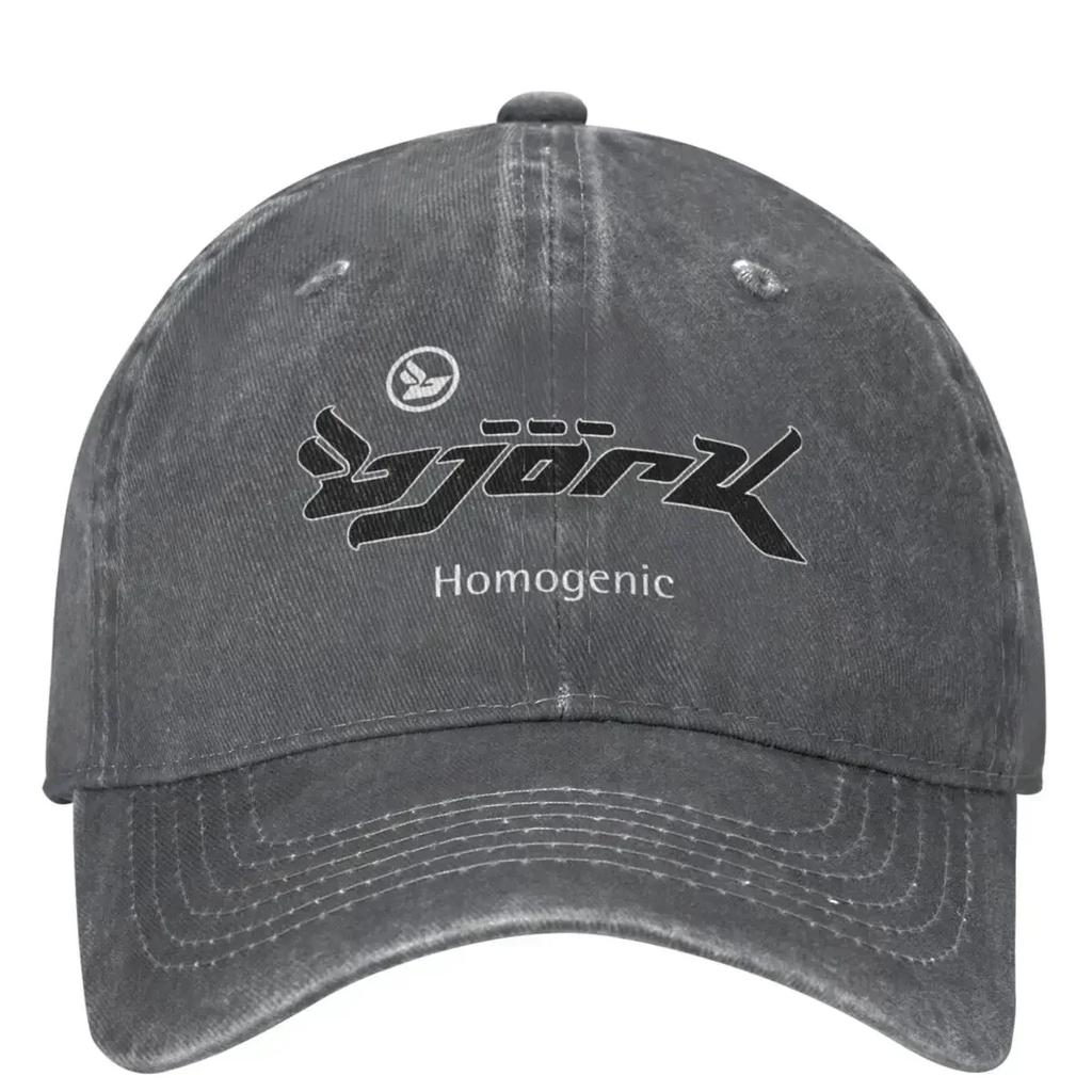 Lässige Björk Homogenic Logo Schwarz Weiß Baseballkappen Unisex Damen Used Denim Snapback Hut Outdoor Laufen Golf