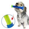 Silicone Dog Chew Toy Bone Interactive Teeth Cleaning Toy For Pet Durable And Noise-making Blue And Green