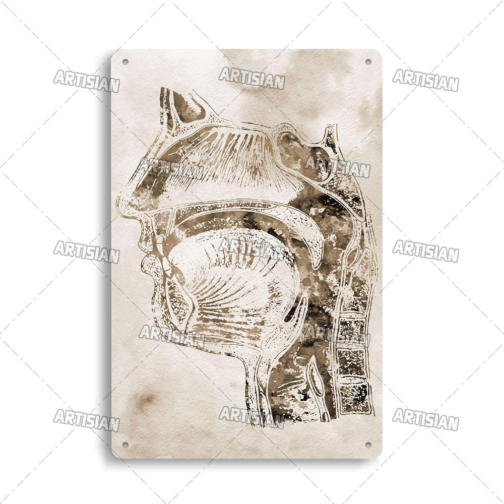 Placca Metallica Artigianale Clinica Dentista Cartello in Latta Anatomia Piatto Decorativo Medico Ospedale Chirurgia Dente Organo Ossa Nervo Cervello