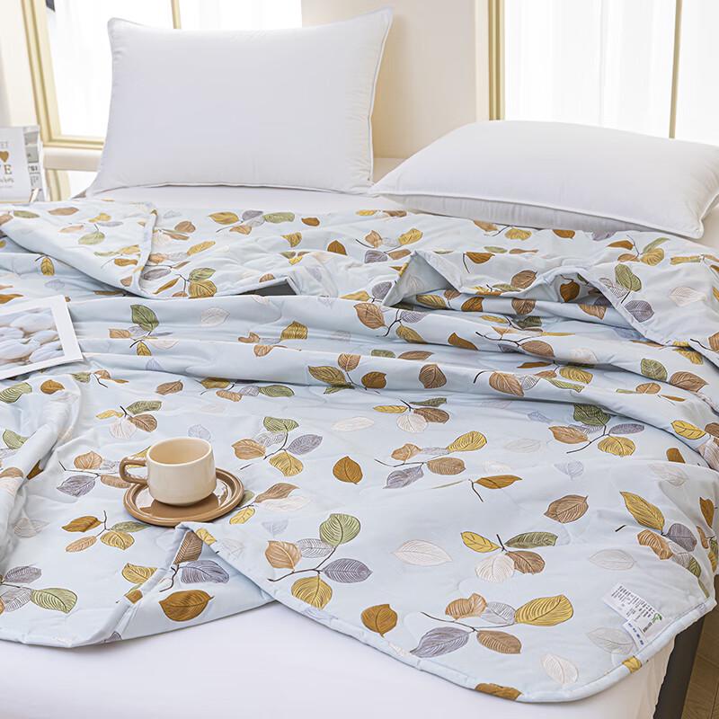 Shanshan Cooling Summer Quilt