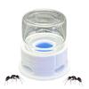 Transparent Ant Feeder Crickets Water Station Anti-Drowning Transparent Drinking Feeder For Ant Bee Crickets Outdoors