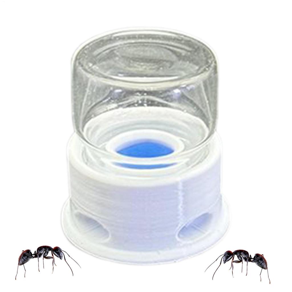 Transparent Ant Feeder Crickets Water Station Anti-Drowning Transparent Drinking Feeder For Ant Bee Crickets Outdoors