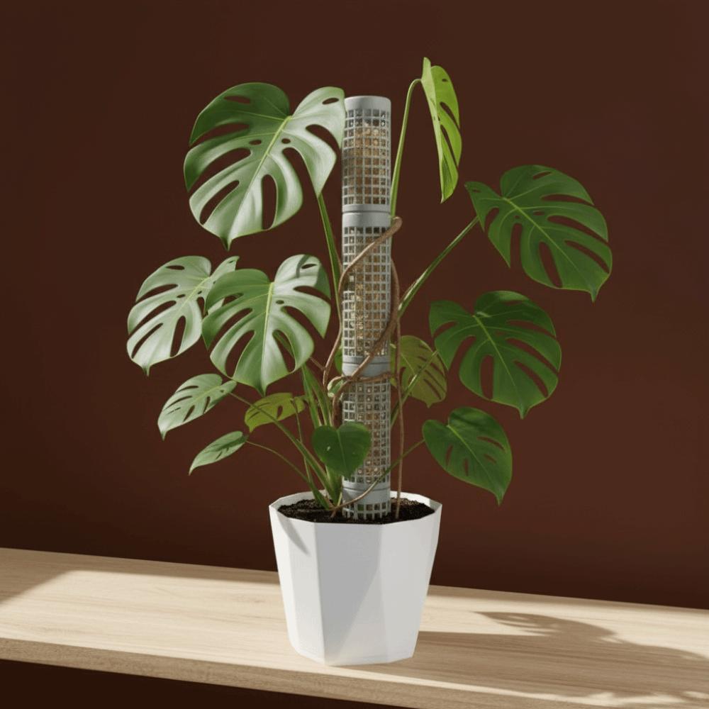 6PCS Sturdy Moss Pole Interlocking Vine Fixed Support Frame Multi-purpose Moss Stick  Greenhouse