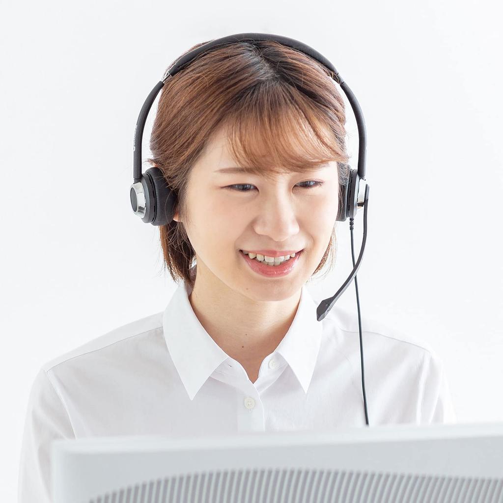 Sanwa Supply USB Headset MM-HSU20BK