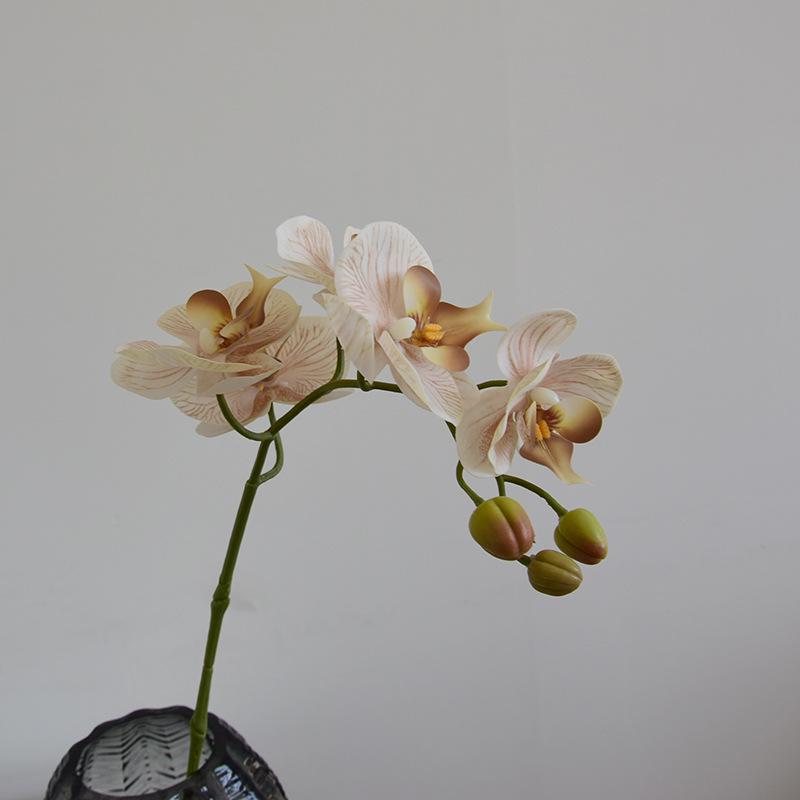 Phalaenopsis Wabi-Sabi Style Artificial Flowers for Home, Wedding, or Hotel Decor