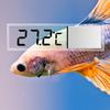 Aquarium Thermometer Elektronisch LCD Digital Fischbecken Temperaturmessung Fischbecken Temperaturmesser Aquarium Zubehör 1 Stück