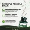 Windboss NAD+ Liposomaal NR 900mg met Quercetine, Trans-Resveratrol en NMN - Verbeterde Energie en Concentratie N01