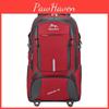 Outdoor Large Capacity Hiking Backpack Sports Travel Bag Lightweight Schoolbag