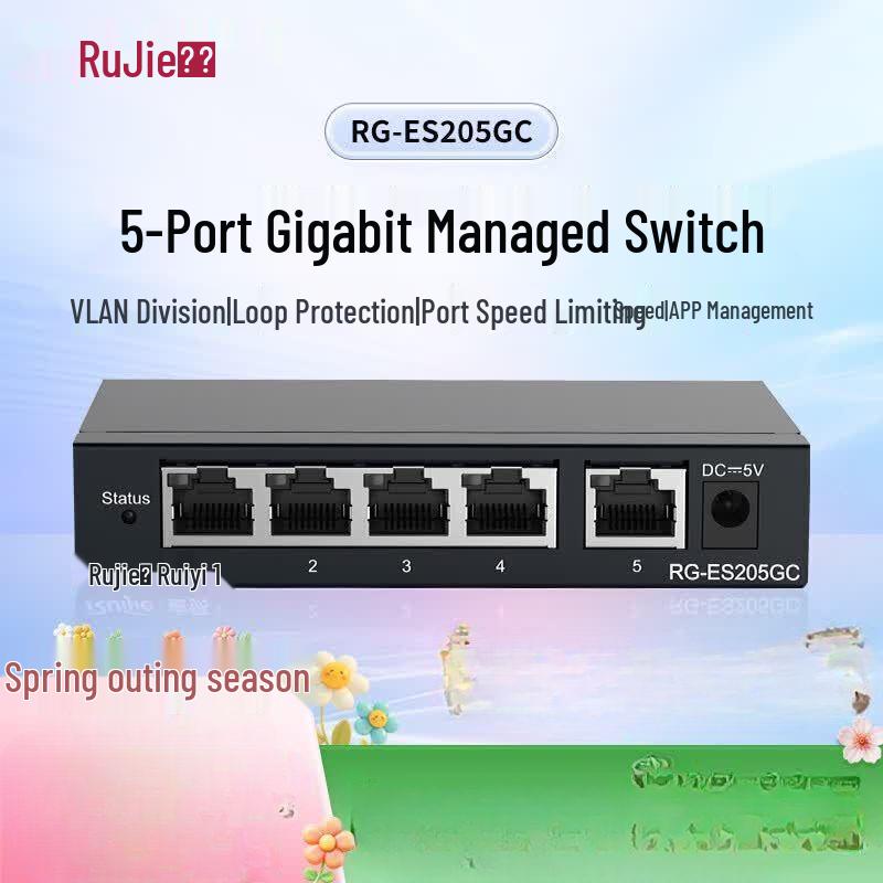 Ruijie 5-Port Gigabit Layer 2 Managed Switch RG-ES205GC