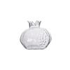 Creative Red Pomegranate Transparent Glass Hydroponic Vase with Hammer Pattern for Desktop Decoration