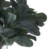 Hill Interiors Artificial Lambs Ear Single Stem