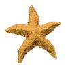 2 Stück Aquarium Ornament Mediterranes Harz Mini Seestern Aquarium Dekoration
