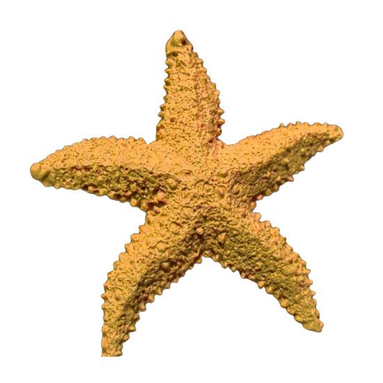 2 Stück Aquarium Ornament Mediterranes Harz Mini Seestern Aquarium Dekoration