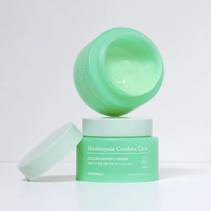 [-6.4°C Instant Cooling] Houttuynia Cordata Cica Cooling Moisture Cream 100ml