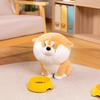 Internet Celebrity New Cute Achai Wolfberry Plush Toy Shiba Dog Doll Children's Birthday Gift Sleeping Doll