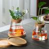 Creative Glass Hydroponic Vase Planter Propagation Station Vase Transparent Small Vase for Home Decoration Elegant Table Decor