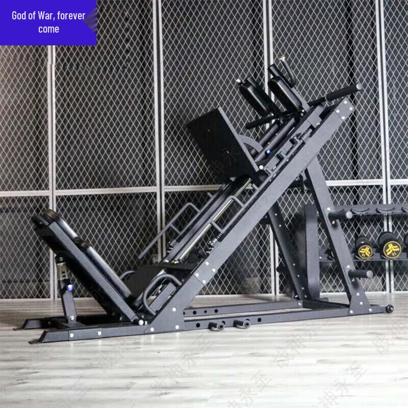 Zhanshen Yongzhi Leg Press & Squat Machine