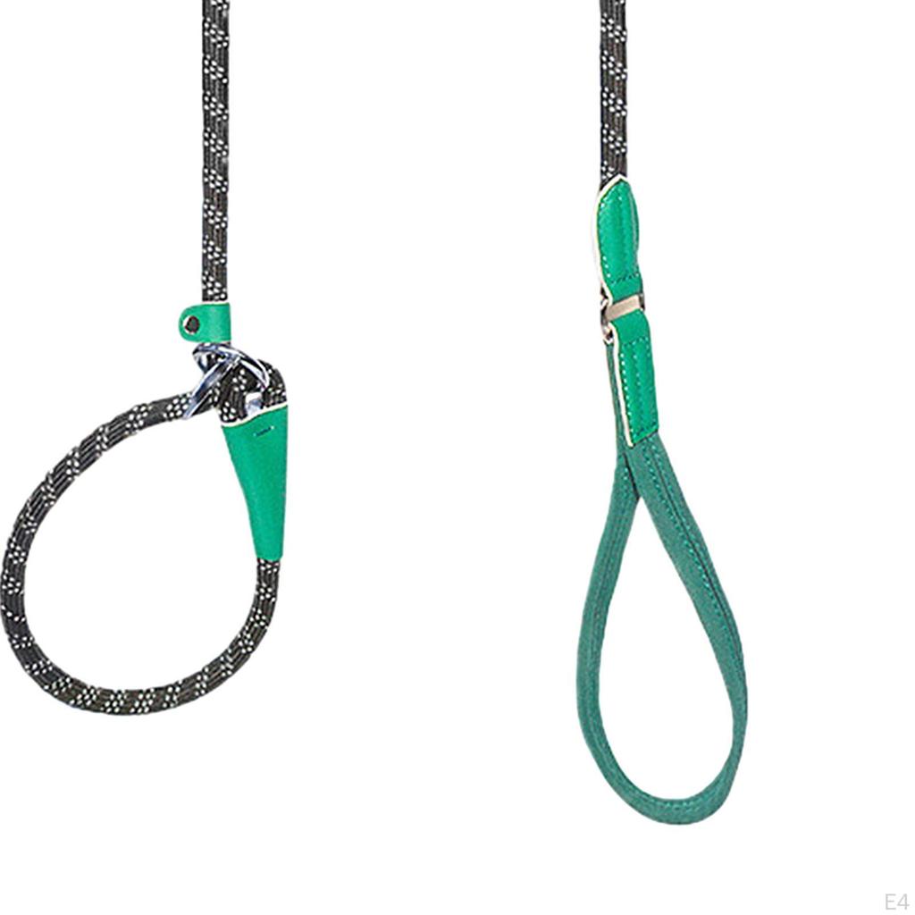 Dog Leash for Active Medium To Large Pets