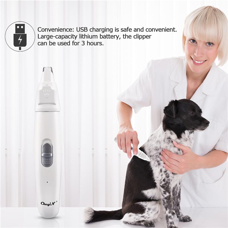 professional dog trimmers