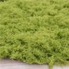 Artificial Green Money Tree Display: Indoor Landscaping & Decoration
