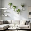 Wall Hanging Glass Planter Clear Flower Vase for Hydroponics Plants Wall Mount Terrarium Propagation Station for Bathroom Home Office Living Room