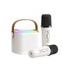 Y1 Bluetooth Wireless Children's Home KTV Microphone Speaker Set