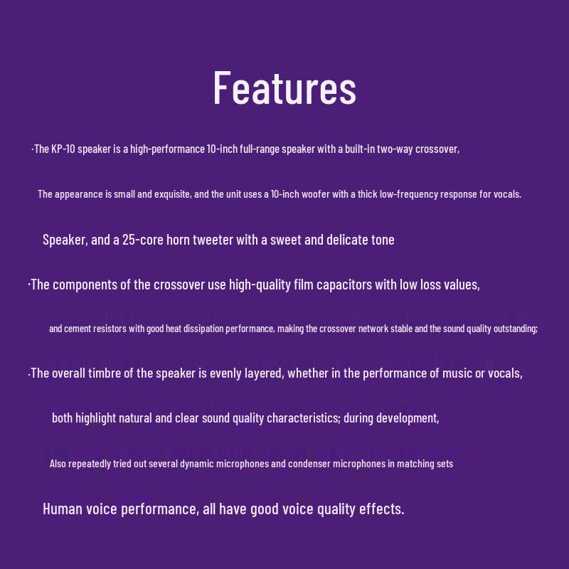 TAKSTAR KP-10 10-inch Professional Full-range Speaker