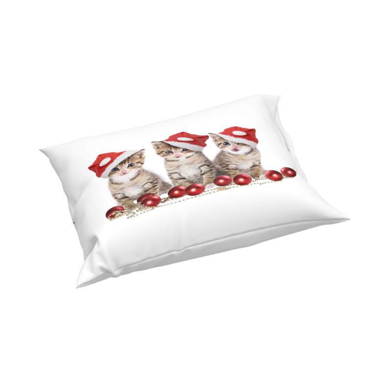 Christmas 3D Digital Printing Quilt Set Three-Piece Christmas Cat