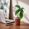 Small Containers for Indoor Gardening 3D Printed Planter, Good Vibes Only Flower Pot, Minimalist Plant Holders Windowsill Cute Cactus Container