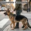 Tactical Dog Collar for Large Dogs Control Handle Heavy Duty Training Collar for Power Breeds AirTag Holder Case
