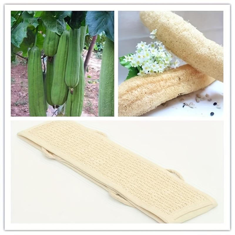 1 Stück Weiches Peelingtuch, Peeling-Duschtuch, Dusch-Peelingschwamm-Gurt, Körperhaut-Reinigungswerkzeug