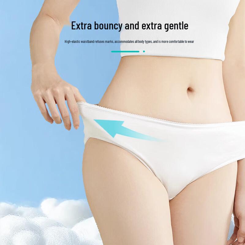 Nolan Sendy Women's Disposable Cotton Underwear (6-Pack)