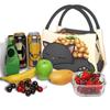 Natto Sushi Katze Lunchtaschen Isoliert Bento Box Wasserdicht Lunch Tote Picknicktaschen Kühltasche Thermotasche für Frau Mädchen Schule
