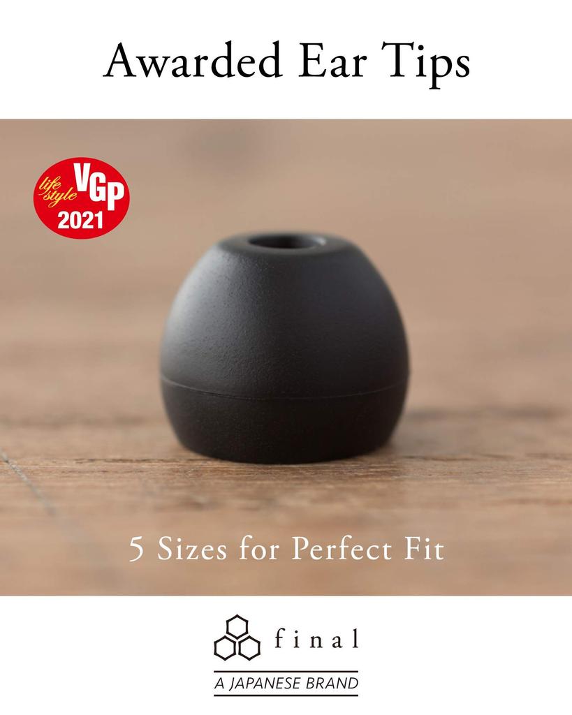 final E2000 In-Ear Earphones with Mic and Controller, Matte Black (FI-E2DALC)