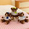 Adorable Plush Hooded Bear Toy Soft Pp Cotton Stuffed Animal Kids Gift 25cm