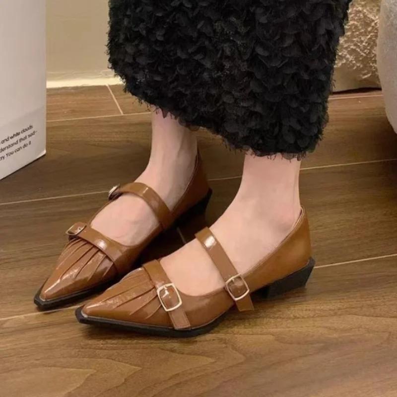 Fashion 2024French Spring Autumn Temperament Thick Heel Black Mary Jane Single Shoes Women's Shoes Zapatos Mujer