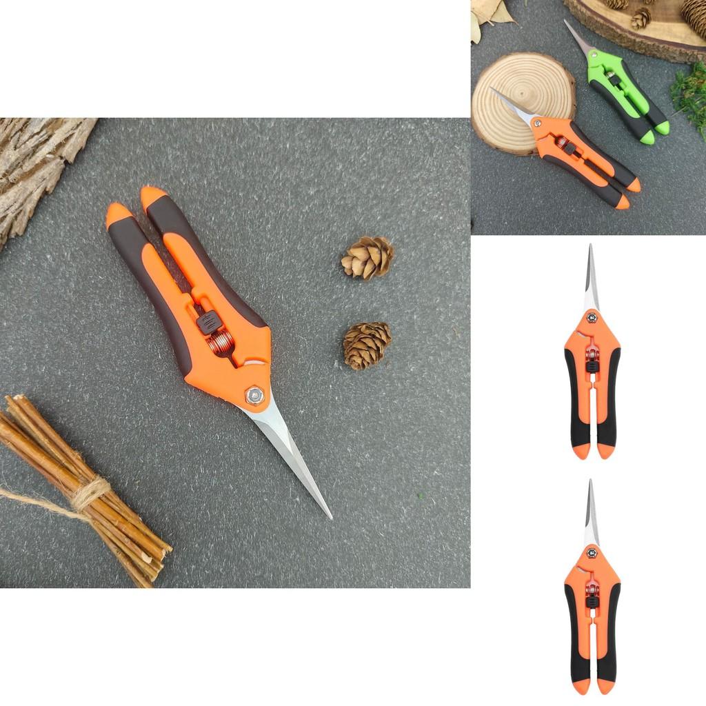 Moderne Gartenschere mit Edelstahlkonstruktion für Fruchternte und Baumpflege