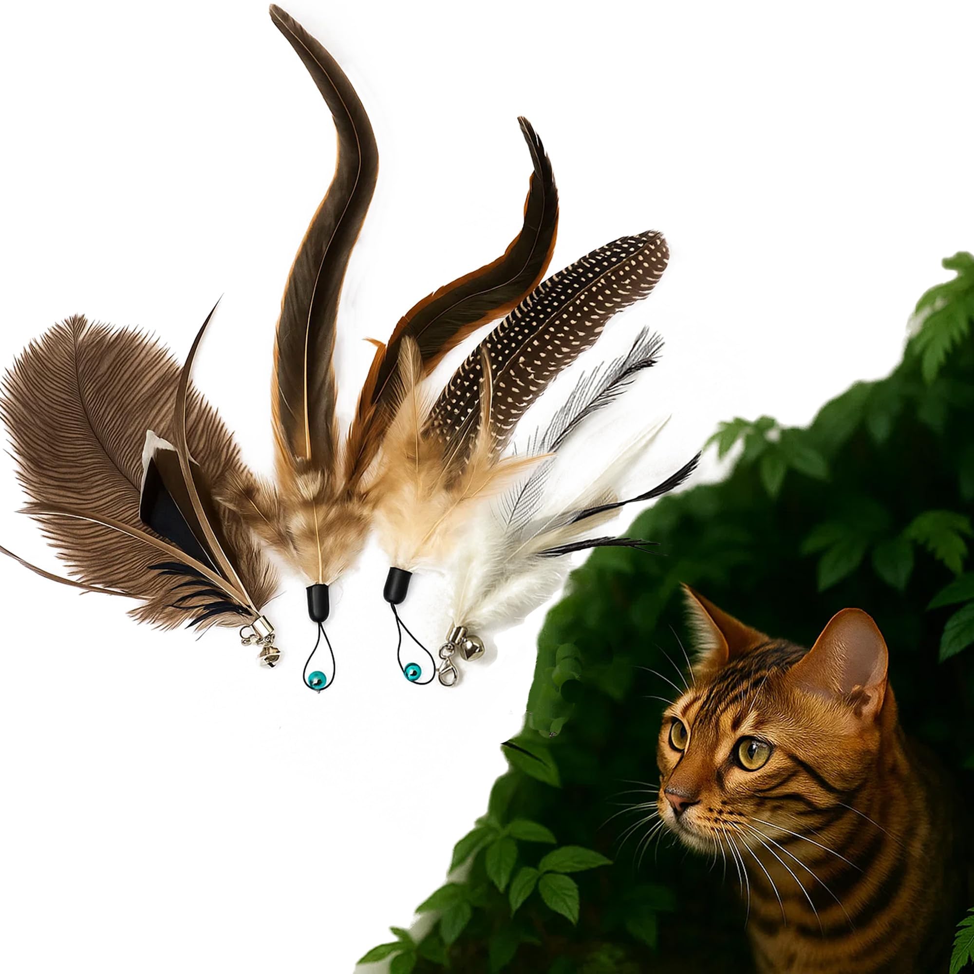 

Lunarcat Cat Toy, Feather Cat Teaser, 4 Interchangeable Heads, Natural Feather Toy with 4 Types of Bird Feathers, Popular Educational Toy, Exercise &