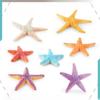 Marine Animal Model Pvc Toy For Childrens Educational Aquarium Decor