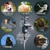 pest control crow animal automatic bird protects and and prevents droppings Solar-powered repellent, repellent, sprinkler, repellent, anti-bird,