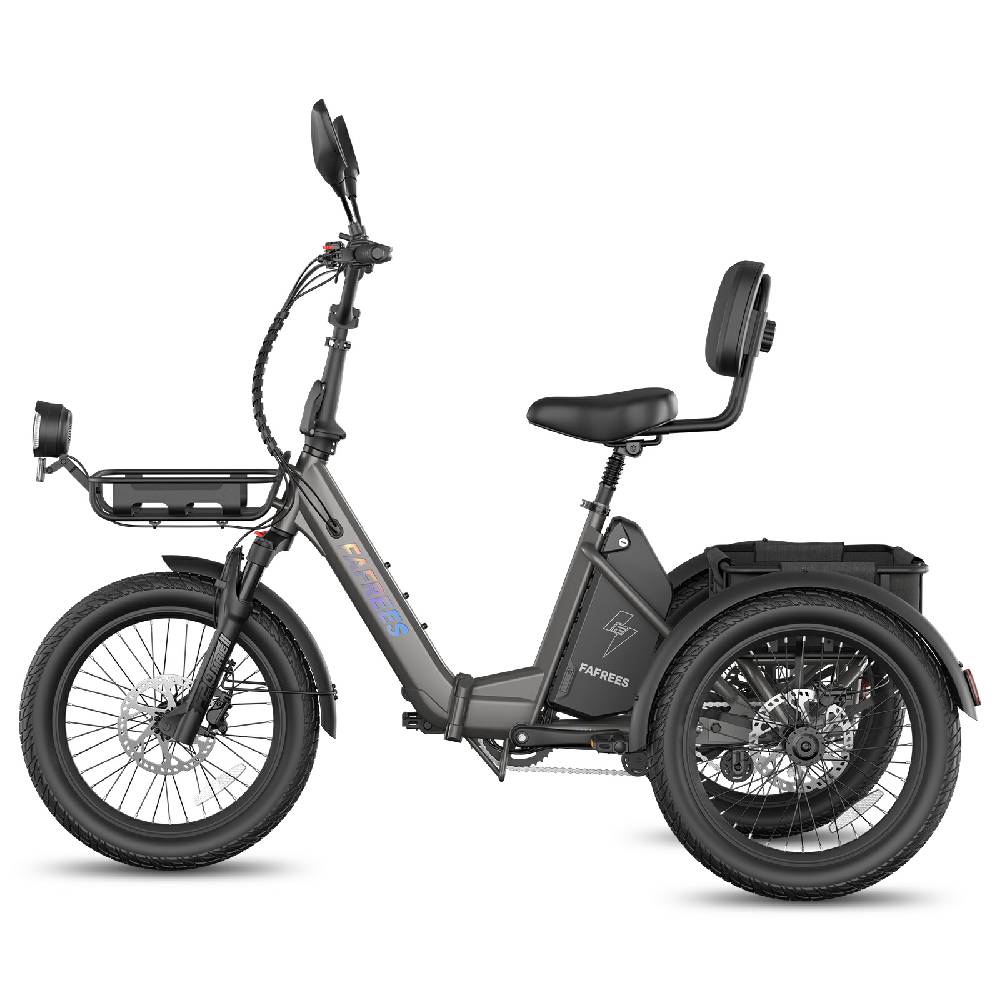 Bicicletta Cargo Elettrica Fafrees F20 Mate 20" Gomma ad Aria Pieghevole E-Bike 48V 21AH Freni a Doppio Disco Velocità Massima 25km/h Carico Massimo 180kg