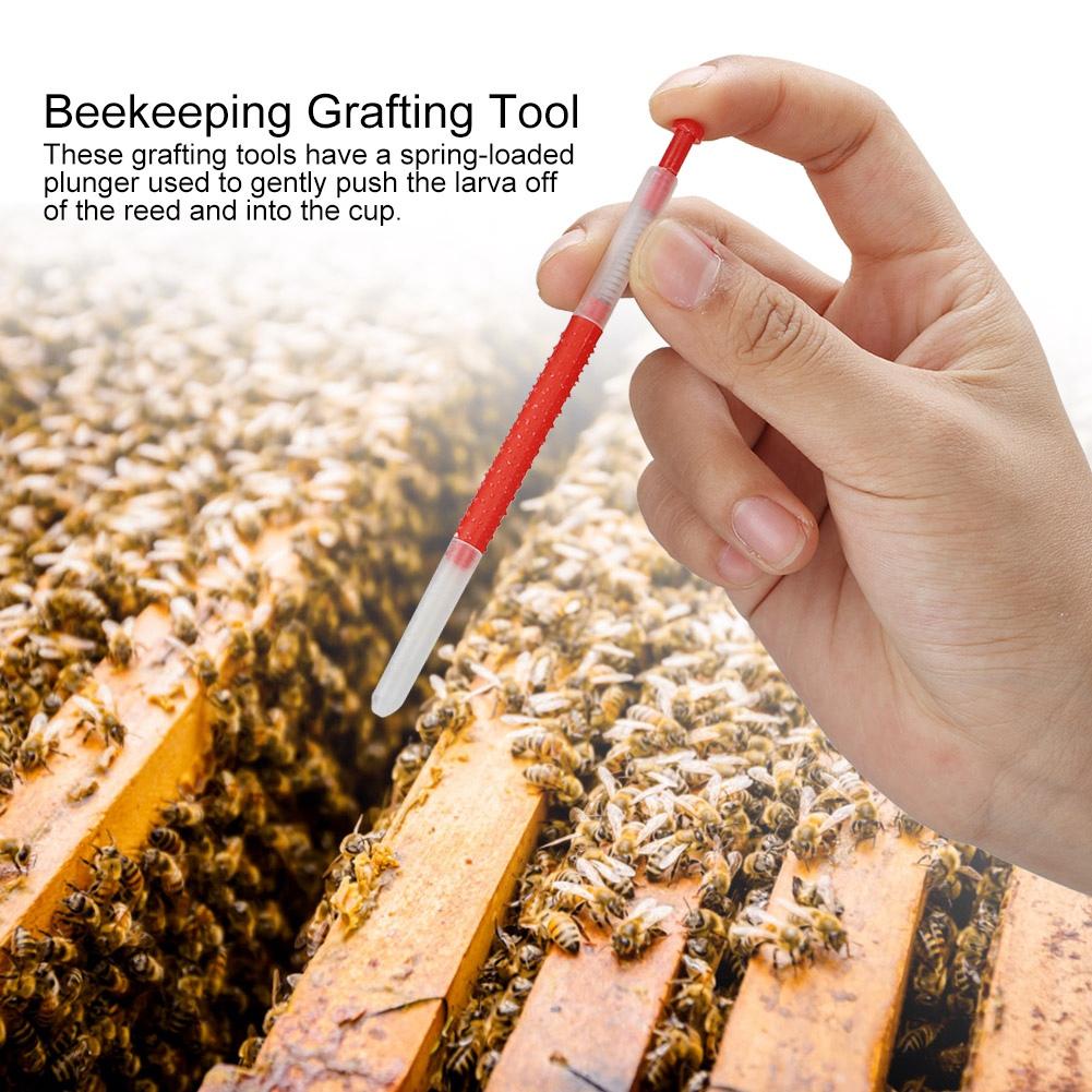 4pcs Plastic Beekeeping Honey Bee Larvae Grafting Tool for Rearing Queen Bee