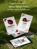 Kids' Outdoor Adventure Bug Observation and Catching Set