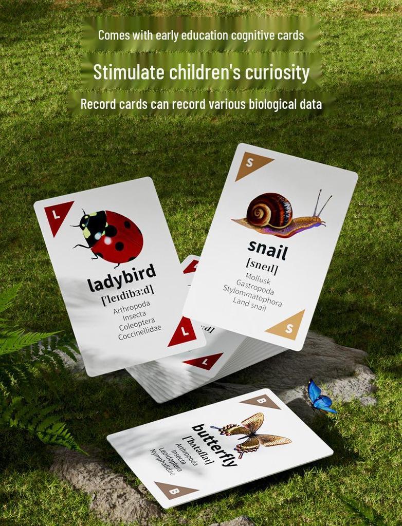 Kids' Outdoor Adventure Bug Observation and Catching Set