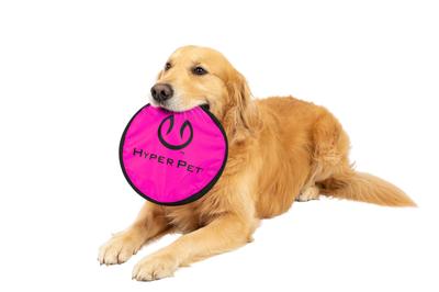 Hyper Pet Hyper PTHP005 Frisbee/L