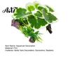 Betta Fish Hiding Spot Aquarium Artificial Plant, Realistic Plastic Plants, Underwater Faux Greenery, Decoration Tank Fake Aquatic Plants for Scenery