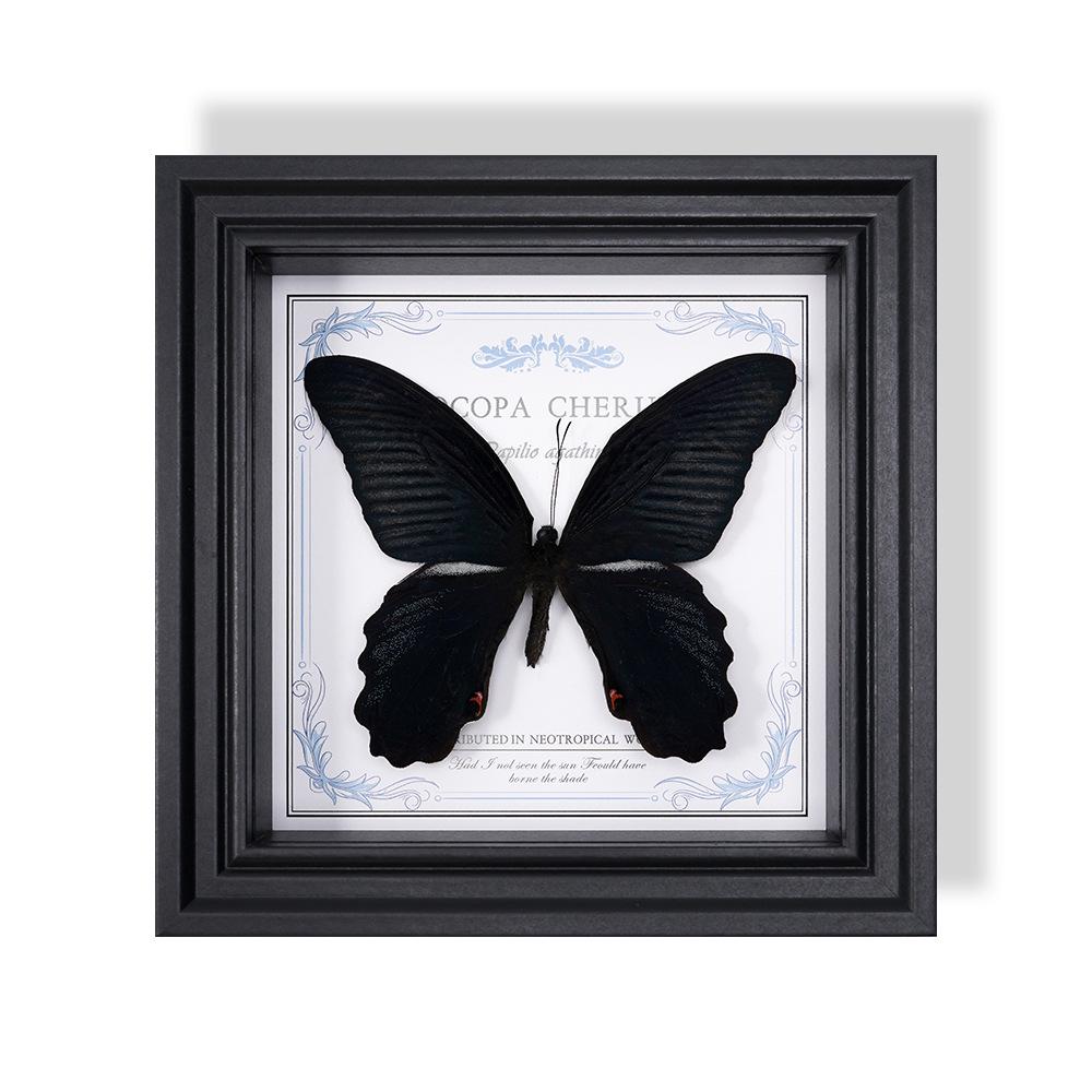 Wall-Mounted Butterfly Specimen Photo Frame: Home Decor & Gift for Valentine's Day, Qixi, Birthday, Couples & Insect Lovers