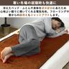 Electric electric 140 x 80 flannel on the poodle touch finish on the stepless temperature control [Yamazen] blanket, blanket, cm, single, washable,