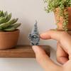 Ev Dekoru – Dekoratif Terraryumlar